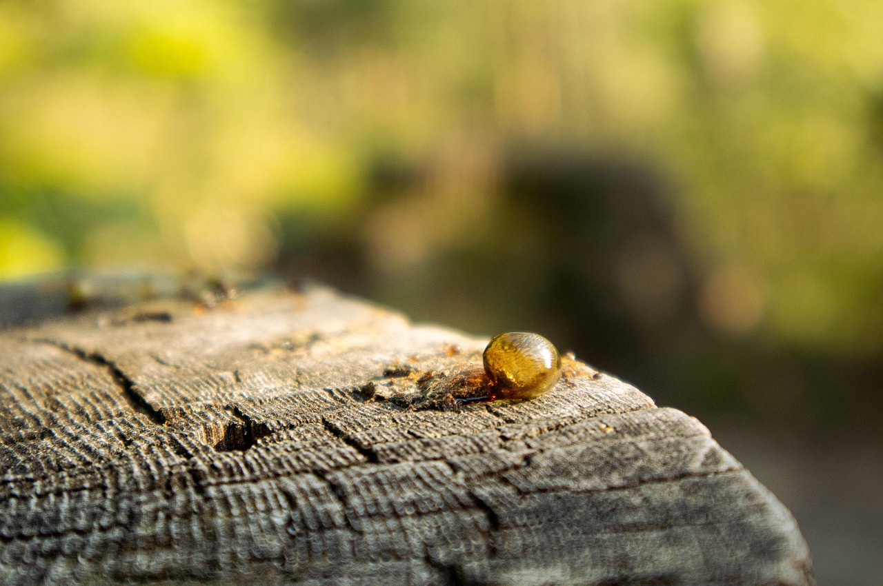 Scopri il segreto per una vitalità ritrovata con BioBoost Gel